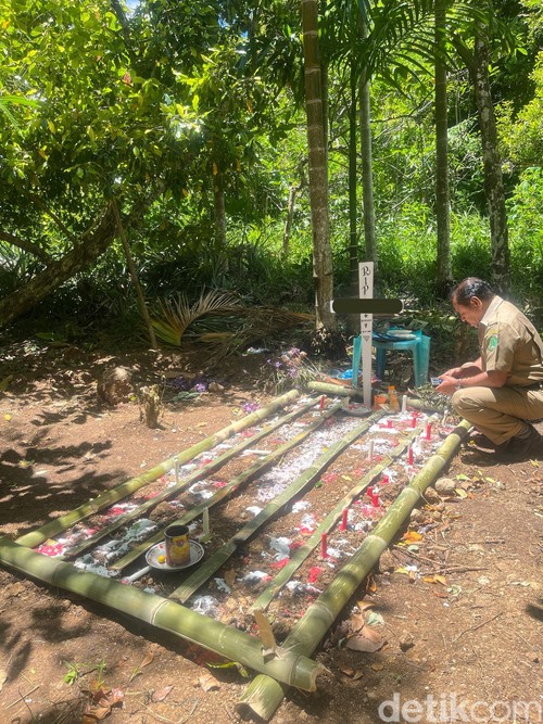 Kuburan Siswa kelas IV SD di Kecamatan Jerebuu, Ngada, NTT berinisial YBR (10) yang tewas gantung diri di pohon cengkeh lantaran orang tuanya tak mampu belikan (Dok.Kepala Dinas Kependudukan dan Pencatatan Sipil Kabupaten Ngada, Gerardus Reo)