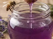Bukan Editan! Madu Berwarna Ungu Bikin Heboh, Ini Faktanya