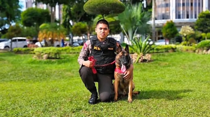 Reno K9 Polda Riau Terima Medali Vira Satya, Award Perdana Polri ke Satwa