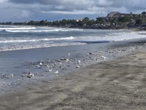 Video: Momen Sejumlah Napi Ikut Bersih-bersih Sampah di Pantai Kuta