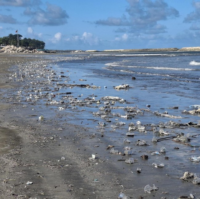 Disorot Prabowo, Lihat Potret Kotornya Pantai di Bali gegara Sampah Kiriman