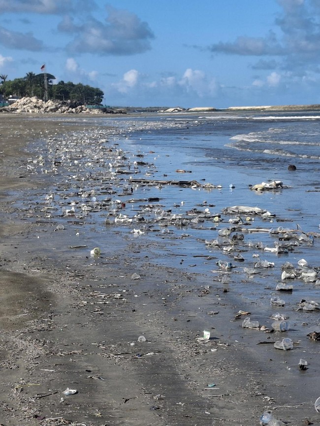 Disorot Prabowo, Lihat Potret Kotornya Pantai di Bali gegara Sampah Kiriman