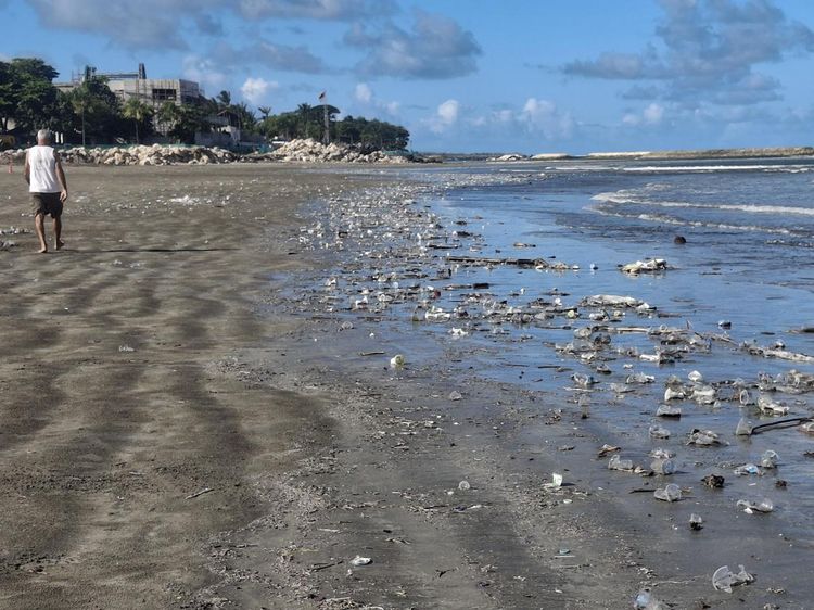 Disorot Prabowo, Lihat Potret Kotornya Pantai di Bali gegara Sampah Kiriman