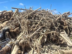 Foto: Tumpukan sampah yang didominasi kayu dan plastik juga tak kalah menggunung di Pantai Legian, Rabu (4/1/2026). (Fabiola Dianira/)
