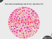 Bisa Tebak Kata di Gambar Ini? Katanya Sih yang Nggak Buta Warna Cepat Menjawabnya