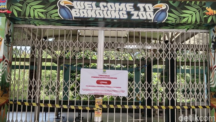 Farhan Jamin Jaga Satwa Kebun Binatang Bandung Usai Penyegelan