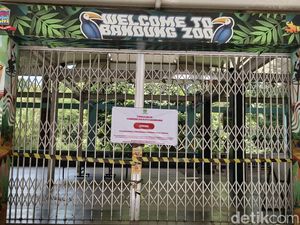 Satpol PP Pastikan Penyegelan Bandung Zoo Bukan Pengosongan Lahan