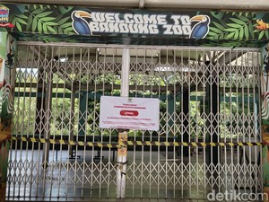 Satpol PP Pastikan Penyegelan Bandung Zoo Bukan Pengosongan Lahan