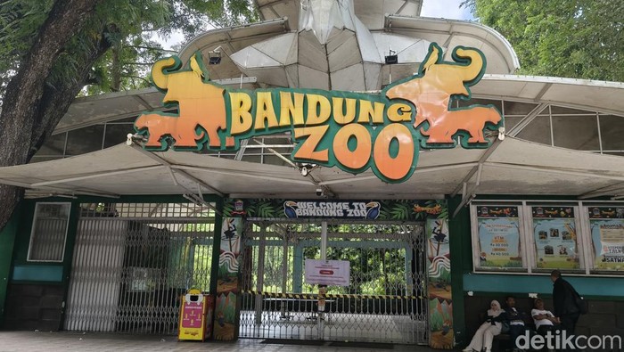 Farhan Janji Tak Abaikan Satwa di Bandung Zoo Usai Penyegelan