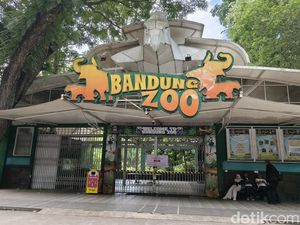 Pemkot Temukan 2 Arca Pajajaran Terbengkalai di Bandung Zoo