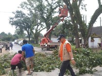 Jelang Arus Mudik, BPBD Pangkas Pohon Rawan Tumbang Palembang-Betung