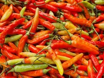 Harga Sembako Jogja Hari Ini 5 Februari 2026: Rawit Merah Tembus Rp 80 Ribu/Kg