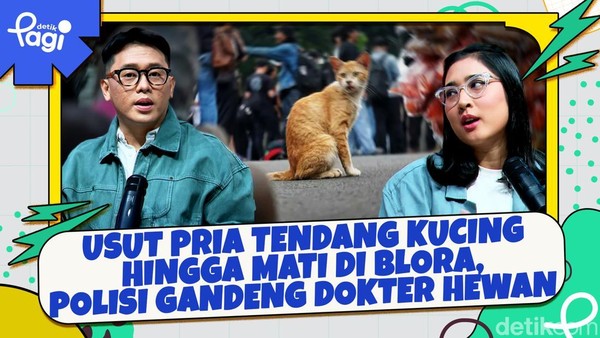 Video: Usut Pria Tendang Kucing hingga Mati di Blora, Polisi Gandeng Dokter Hewan