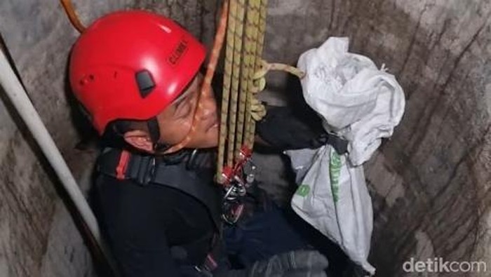 Kucing Semalaman Nyemplung Sumur 15 Meter di Boyolali, Ditolong Damkar