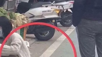 Hewan peliharaan pun “ikut” tren protokol kesehatan, potret lucu sekaligus absurd dari kepanikan global. Foto: Boredpanda