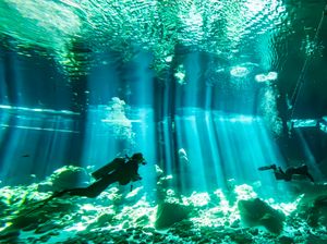 Ilmuwan Temukan 28 Spesies Hewan Laut Baru, Ada Ubur-ubur Hantu