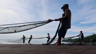 Nelayan Dukung Pasokan, Stok Ikan Nasional Dijaga Jelang Ramadan