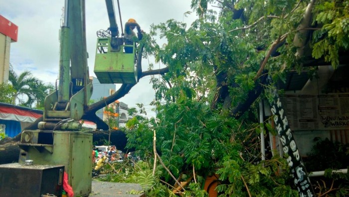 Pohon Tumbang Timpa Warkop-Gerobak Bakso di Bontoala Makassar