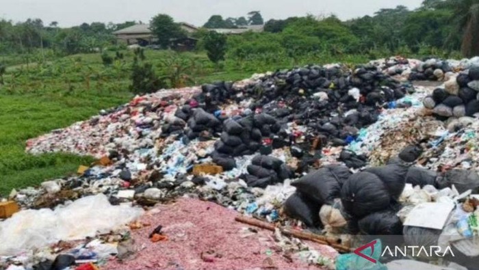 Cacahan Duit di TPS Bekasi Pemusnahan BI, Awalnya Mau Dibuang ke Bantargebang