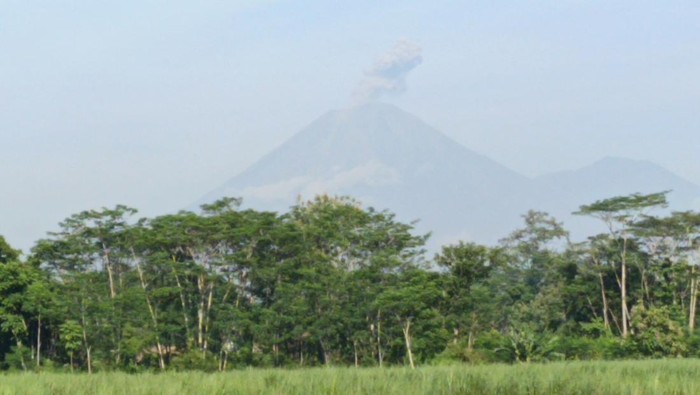 Semeru Erupsi 5 Kali, Abu Vulkanik Membubung hingga 1 Km