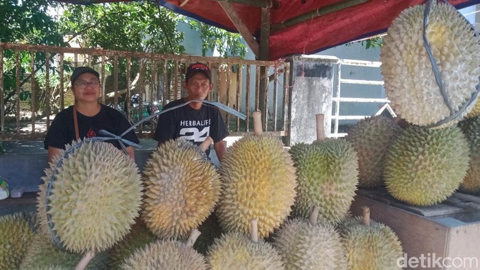 Buah durian asli Jatinom, Klaten mulai marak dijajakan, Jumat (6/2/2026).