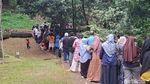 Bunga Bangkai di Kebun Raya Bogor Ini Mekar Lagi Usai 12 Tahun