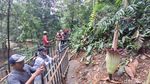 Bunga Bangkai di Kebun Raya Bogor Ini Mekar Lagi Usai 12 Tahun