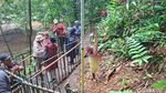Bunga Bangkai di Kebun Raya Bogor Ini Mekar Lagi Usai 12 Tahun