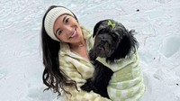 Influencer Ini Dihujat Usai Mengawetkan Anjingnnya yang Meninggal