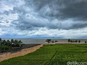 Fenomena Lautan Kopi Susu di Palabuhanratu Bikin Heboh Warga