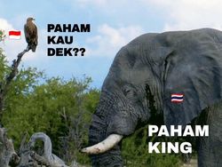 Meme King Indo Menggila Usai Tim Futsal Garuda Taklukkan Jepang