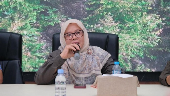 BKSDA Ungkap Gajah Mati di Riau Alami Trauma Kepala Akibat Luka Tembak