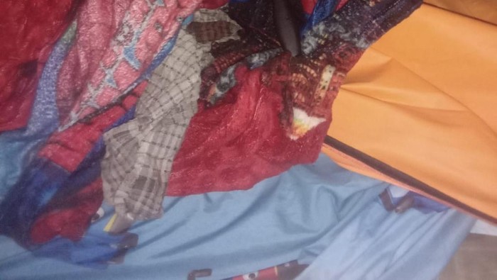 Misteri Ibu Hamil di Bengkulu Tewas dengan Leher Digorok, Keluarga Lapor Polisi