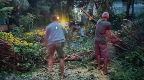 Pemotor yang tertimpa pohon tumbang saat dievakuasi menuju RSUD Karangasem, Jumat (6/2/2026). (Dok. Kadus Kebon)