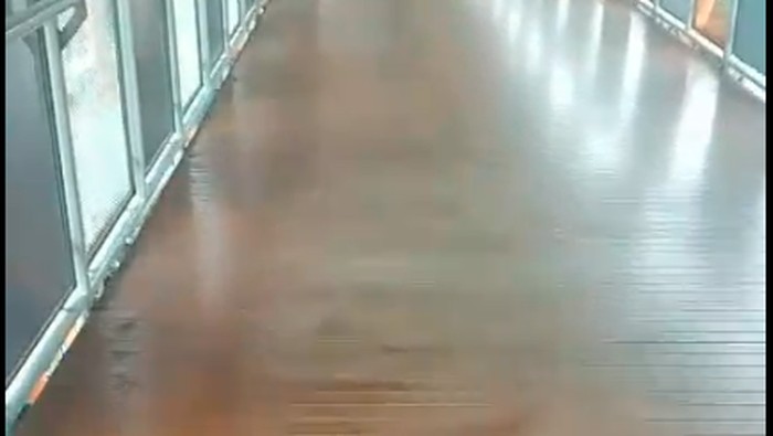 Skywalk Kebayoran Kini Bersih dari Kotoran Kucing, Ada Petugas Kebersihan