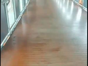 Skywalk Kebayoran Kini Bersih dari Kotoran Kucing, Ada Petugas Kebersihan