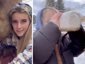 Heboh! Susu Produksi Ballerina Farms Ditemukan Mengandung Bakteri