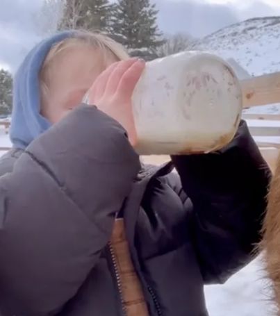 Heboh! Susu Produksi Ballerina Farm's Ditemukan Mengandung Bakteri