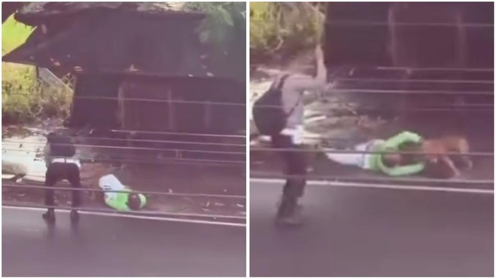 Viral Polisi di Lampung Tolong Warga Diserang Anjing Pitbull