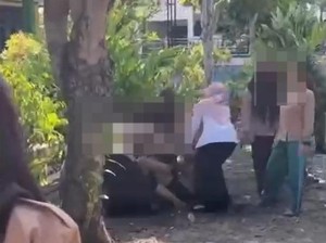 Siswi SMA di Bengkulu Dikeroyok Kakak Kelas Sampai Pingsan gegara Komen IG