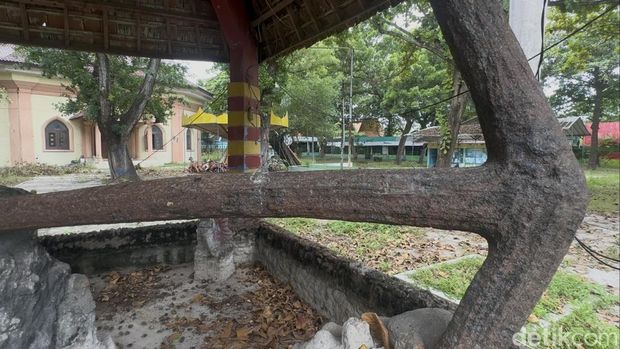 Penampakan Jangkar Dampu Awang di Pantai Kartini, Rembang. Foto diunggah Jumat (6/2/2026).