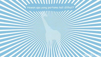 Cek Ketajaman Mata di Sini! Banyak yang Tak Bisa Temukan Detailnya