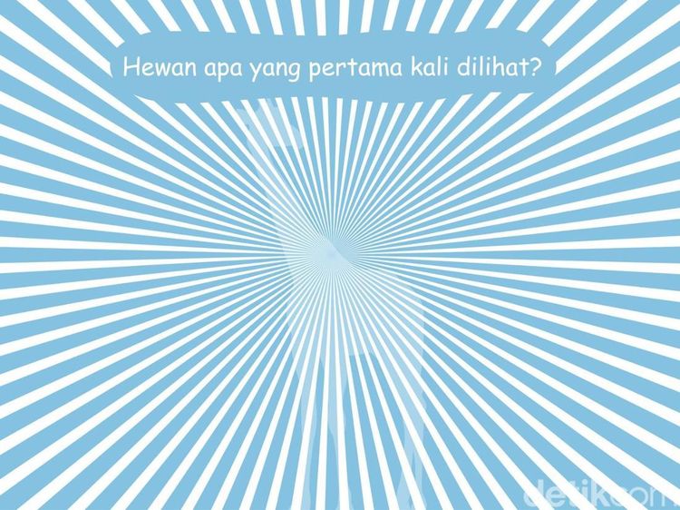 Cek Ketajaman Mata di Sini! Banyak yang Tak Bisa Temukan Detailnya