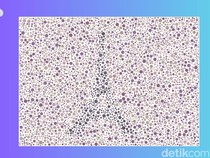 Mari Berwisata Lewat Tes Buta Warna, Bisa Jawab Semua atau Masih Keliru?