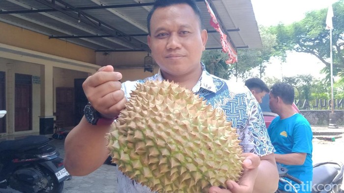 Buah durian dari Desa Randulanang, Kecamatan Jatinom, Klaten.