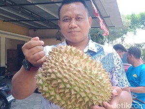 Festival Durian Jatinom Digelar Lagi Besok, Ada Bagi-bagi 6.000 Paket Gratis