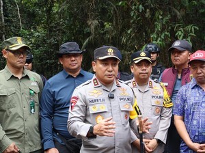 Polda Riau Cari Kamera Trap Lacak Pembunuh Gajah Sumatera di Pelalawan
