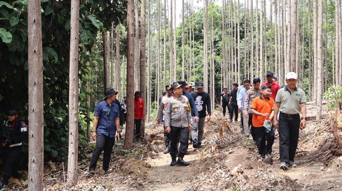 7 Langkah Pemerintah Usut Kematian Gajah Tanpa Gading dan Kepala