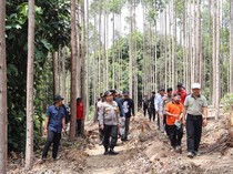 7 Langkah Pemerintah Usut Kematian Gajah Tanpa Gading dan Kepala