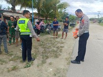 Balita di Konawe Tewas Terlindas Pikap Saat Main Depan Rumahnya